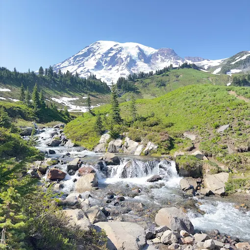 Stream flowing over rocks below snow-capped Mount Rainier